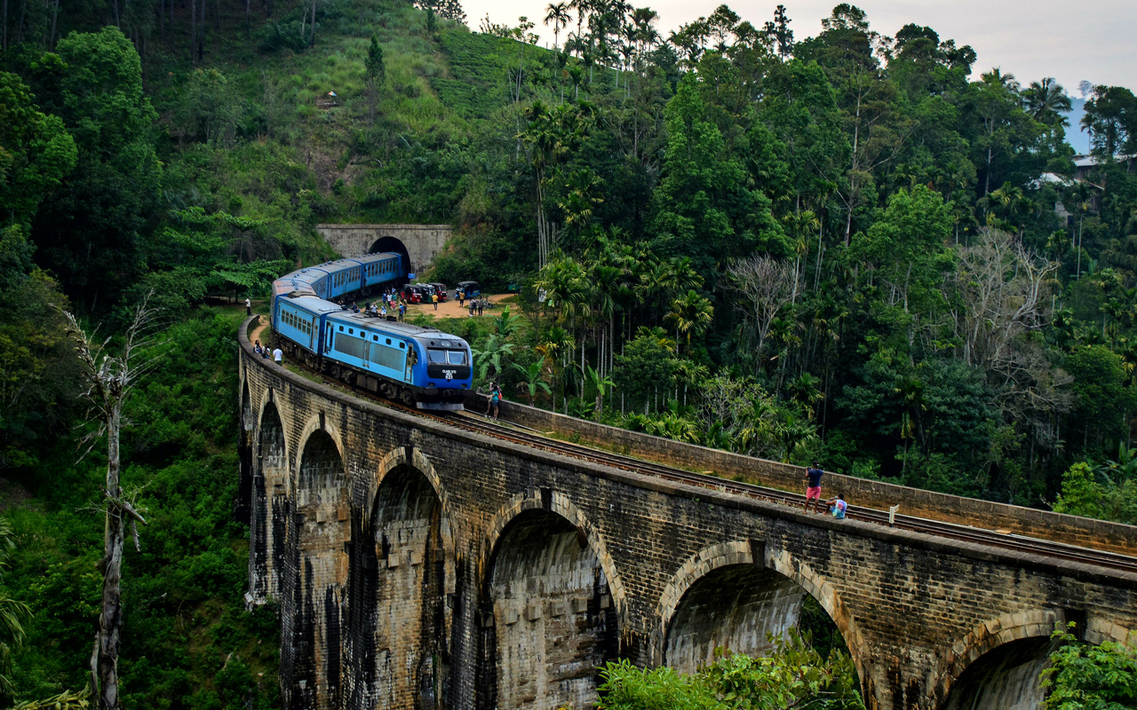 Rasika Ceylon Travel Bug