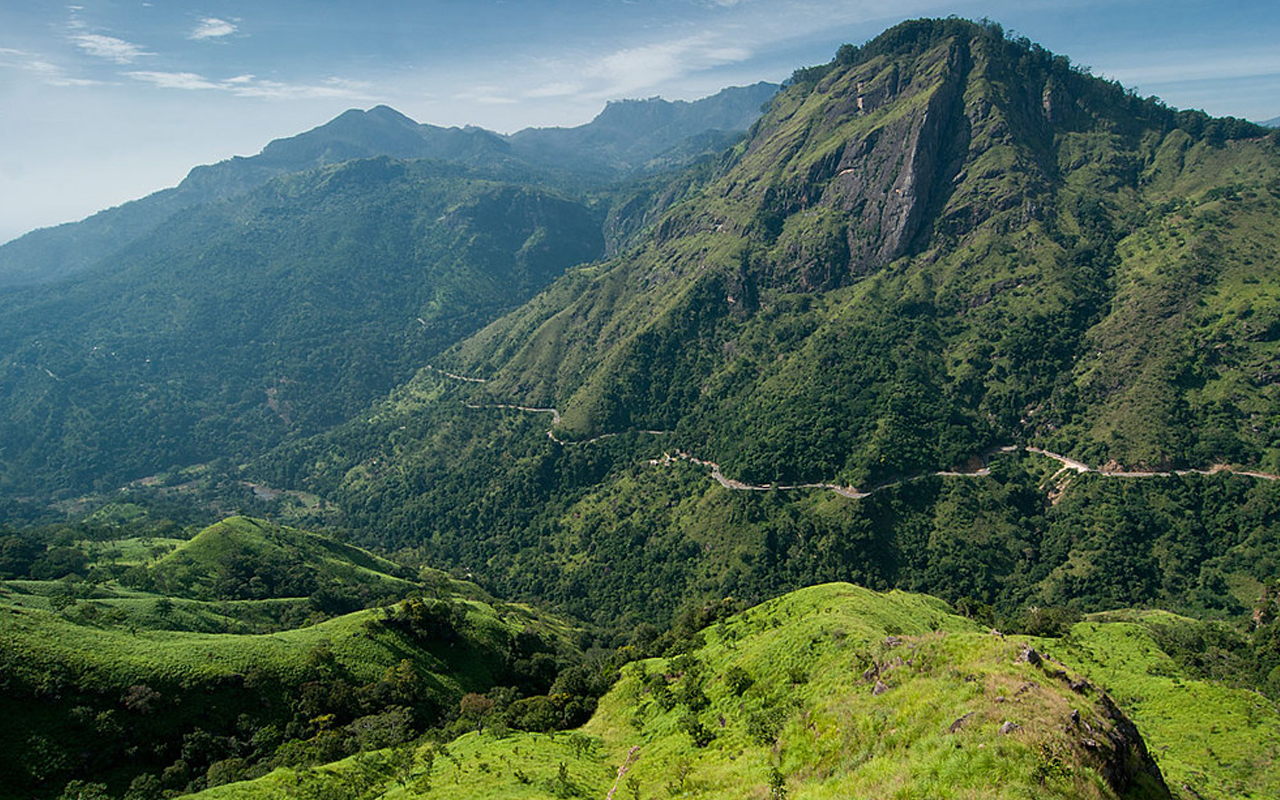 Rasika Ceylon Travel Bug