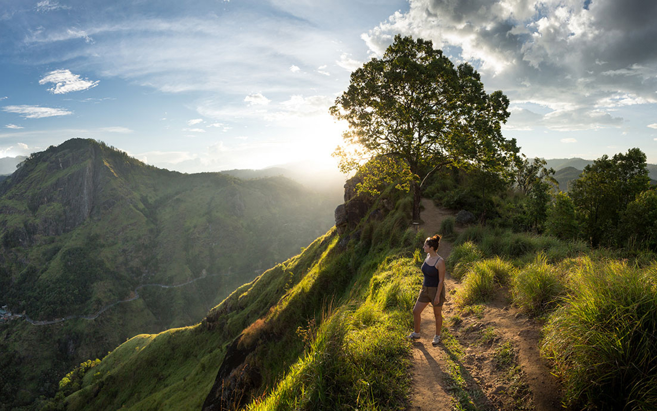 Rasika Ceylon Travel Bug