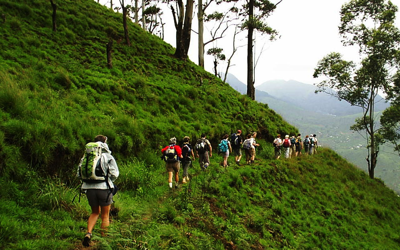 Rasika Ceylon Travel Bug