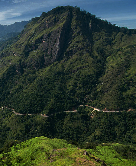 Rasika Ceylon Travel Bug